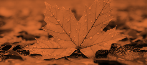 Changelog Autumn 2023